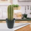 Cactus Toothpick Holder, 3D Printed Cactus Toothpick Dispenser, House Plant Toothpick Cactus Hold, Toothpicks Holder Decorative, Multifunctional Succu