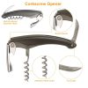 5 Pcs Wine Bottle Opener Set Wine Accessories Kit with Corkscrew Pourer Stopper Vacuum Pump for Home Use Sommeliers Waiters Bartenders